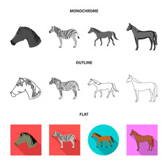 Isolated object of trot and running icon. Set of trot and clipart vector icon for stock.