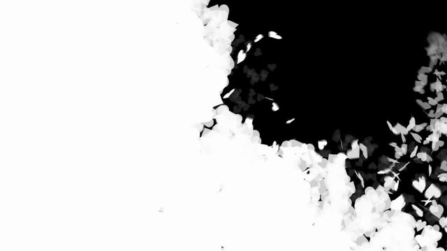 10 Wedding Day, Valentine Day, Hearts Transitions Masks. Each transition 3 seconds duration, 90 frames, grayscale only
