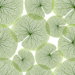 Seamless pattern with Lotus leaves. Vector illustration.