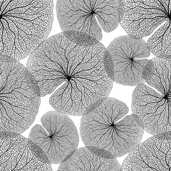 Fotobehang Bladnerven Naadloos patroon met lotusbladeren. Vector illustratie.