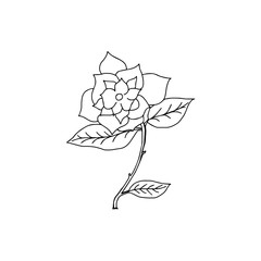 Rose hand drawn line vector, roses art, illustration logo. rose black and white