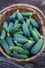 fresh cucumbers on a dark wooden surface