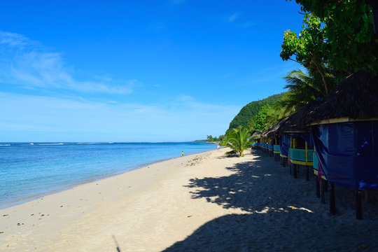 230 Best サモア Images Stock Photos Vectors Adobe Stock