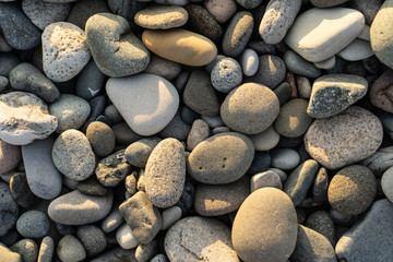 various stones on the seashore with the warm sunset sun