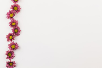 Top view of fresh flowers