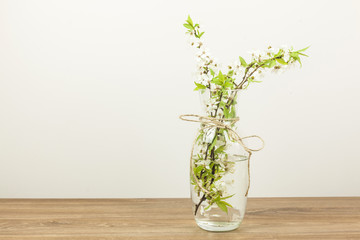 White flowers inside a vase