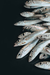 Fresh organic fish on ice on the market on dark vintage background  close-up.