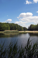 jungfernheidepark