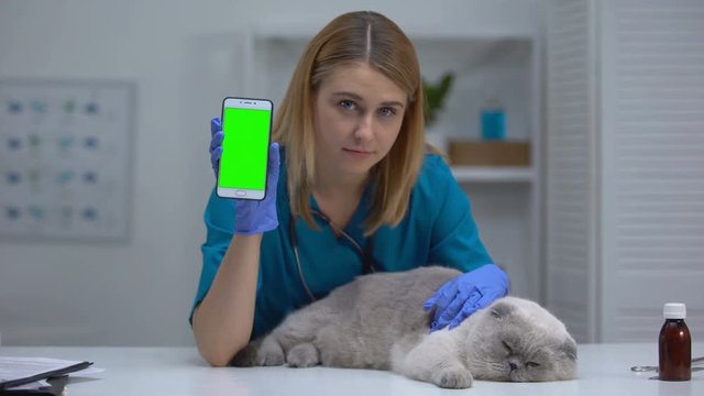 Female Vet With Cat Showing Phone, Pet Health App, Online Vaccine Registration