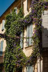 Fototapeta na wymiar Casa Arles fiori finestra 