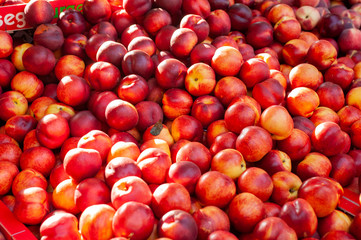 Pesche rosse frutta
