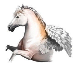 Pegasus digital art illustration isolated on white background