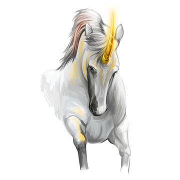 Unicorn digital art illustration isolated on white background