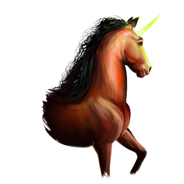 Unicorn digital art illustration isolated on white background