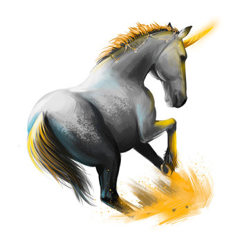 Unicorn digital art illustration isolated on white background
