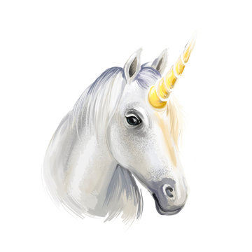 Unicorn digital art illustration isolated on white background