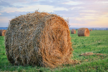 Hay sheaf close up in the agricultural field in countryside at sunset. Beautiful countryside landscape.