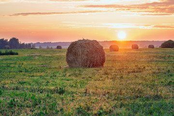 Sheaves of hay in the light of the setting sun in warm summer evening in the countryside