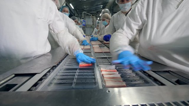 Food factory workers pack food into containers on a conveyor.