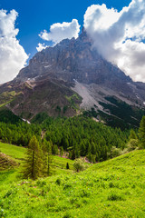 Passo Rolle, Dolomites,  Italy
