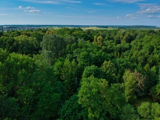 Obraz premium Aerial view of the park in Nesvizh, Minsk region, Belarus