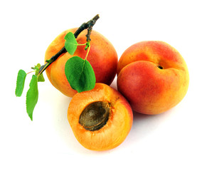Ripe apricots with apricot leaf isolated on the white background.