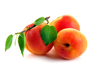 Ripe apricots with apricot leaf isolated on the white background.