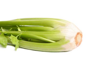 Green organic natural celery isolated on white.