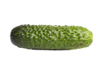 natural organic cucumber