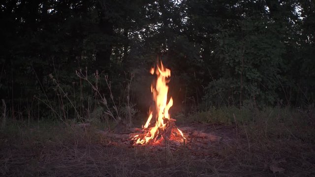 A cozy afternoon bonfire lit next to a wild oak forest in the amazing country of Bulgaria.