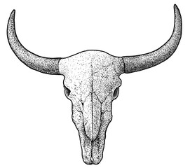 Bull skull illustration, drawing, engraving, ink, line art, vector