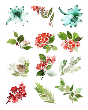 A set of Christmas floral elements on a white background
