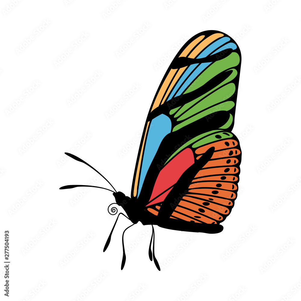 Poster butterfly icon