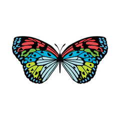 Obraz na płótnie Canvas Butterfly Icon