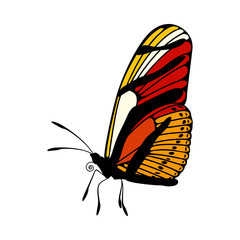 Fototapeta na wymiar Butterfly Icon