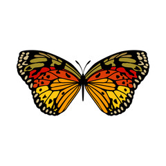 Butterfly Icon