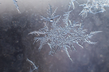 snow pattern on the glass from frost