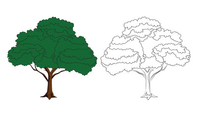 Hand drawn isolated outline and color trees. Element for decoration, emblems, logo