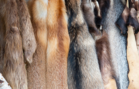 Pelze auf einem Mittelalter Spektakel als Hintergrund