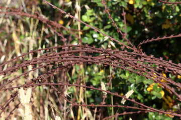 Rusty barbed wire. Clew of old rusty barbed wire
