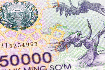 detail of a 50000 usbek som banknote obverse