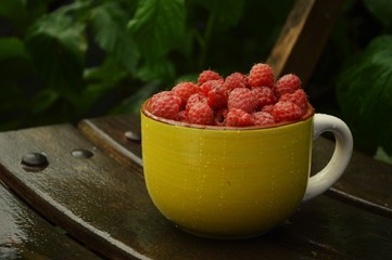raspberries in a bowl