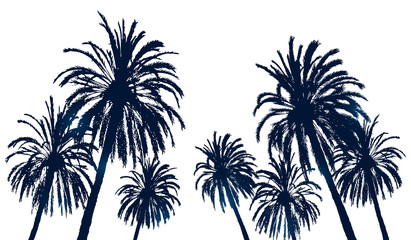 Summer background with palm trees silhouettes on white