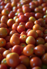 Red tomatoes on the eastern market. Stock photo