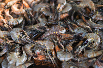 Seafood in the Asian market. Shrimps caught by fishermen from the Indian Ocean. Stock photo