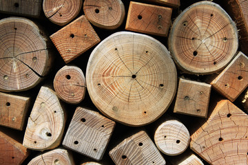 selbstgebautes Insektenhotel für den Garten zum Retten der Bienen