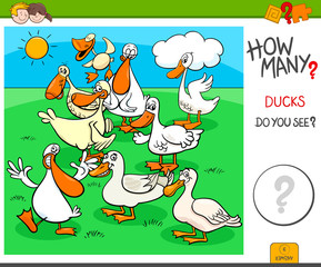 how many ducks educational task