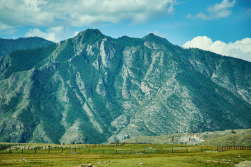 Mountain Altai.