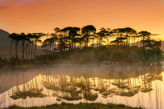Pine Island Derryclare Lough Connemara