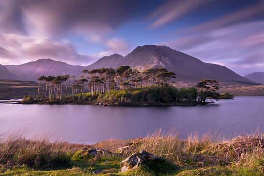 Pine Island Derryclare Lough Connemara